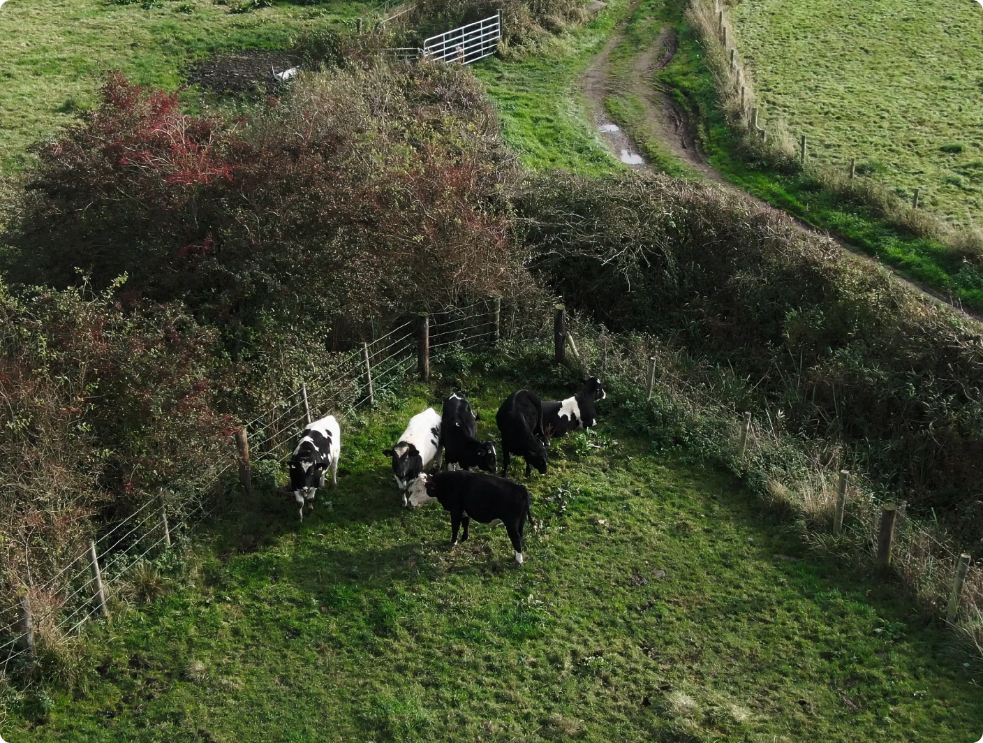 Natural butter gives you a rich taste and perfect texture for all baked goods.